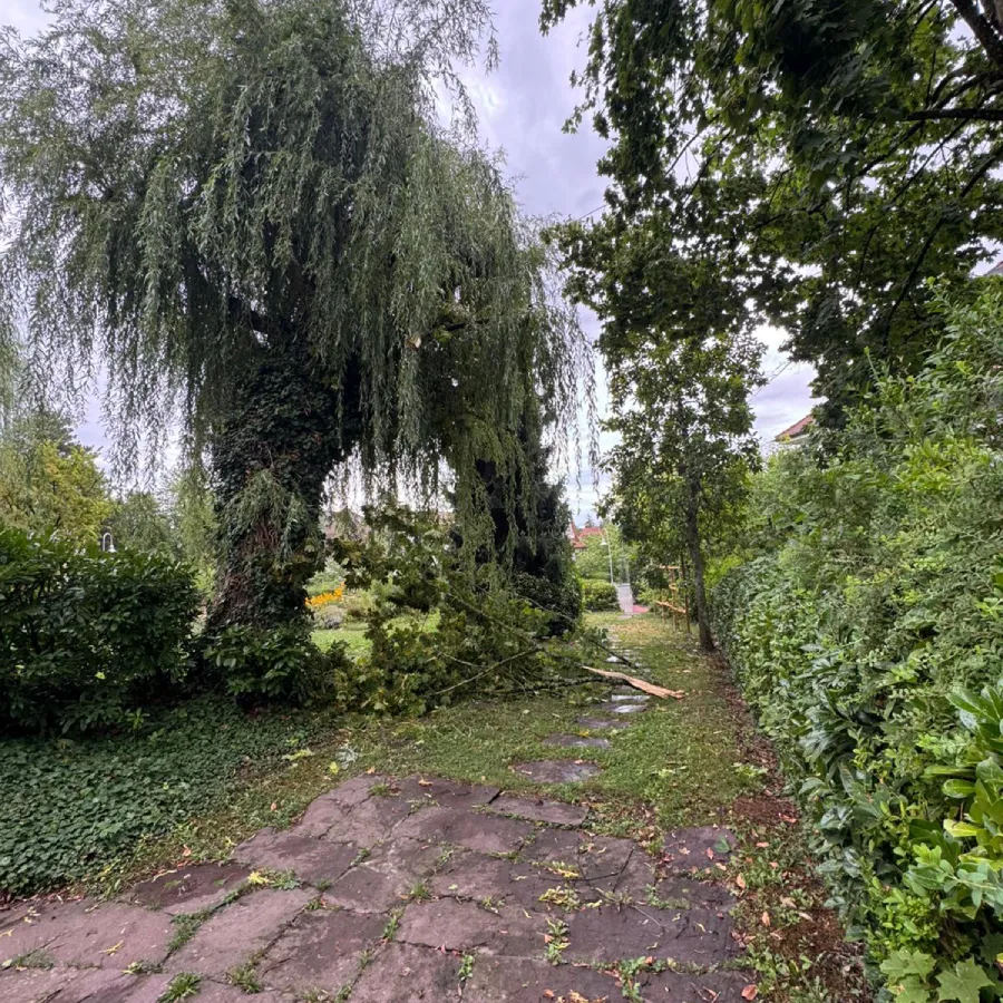 Heruntergefallene Äste versperren nach einem Sturm einen Gartenweg in Konstanz