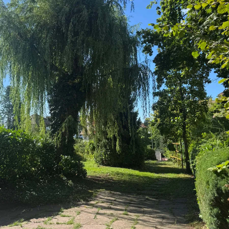 Aufgeräumter Gartenweg nach der Beseitigung des Astmaterials in Konstanz