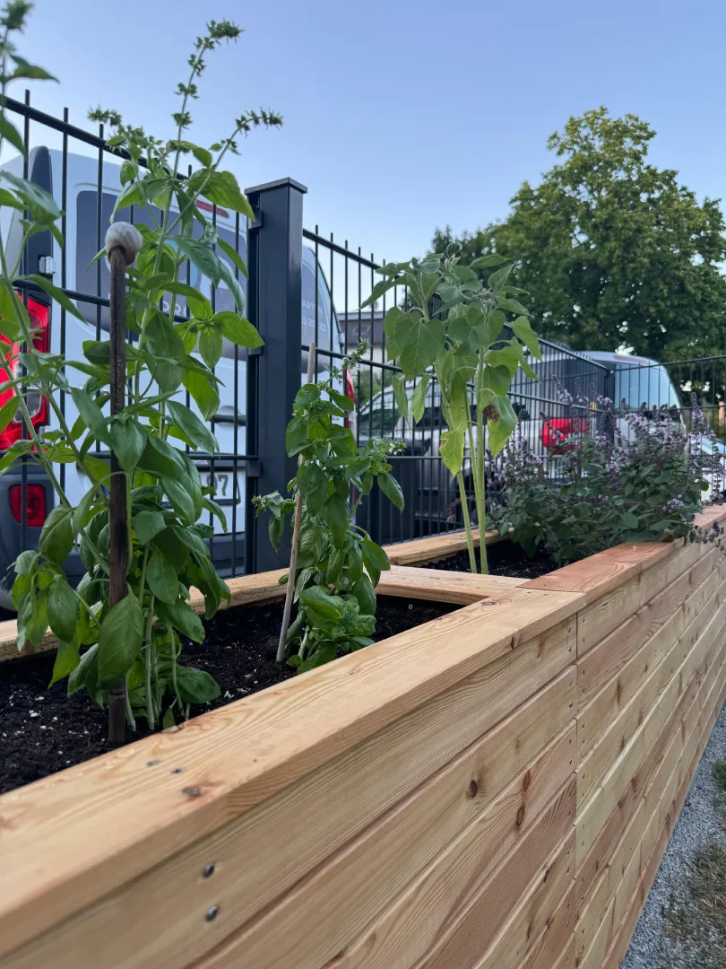 Individuell gestalteter Gartenbereich aus Holz mit Sitzplatz und Pflanzelementen